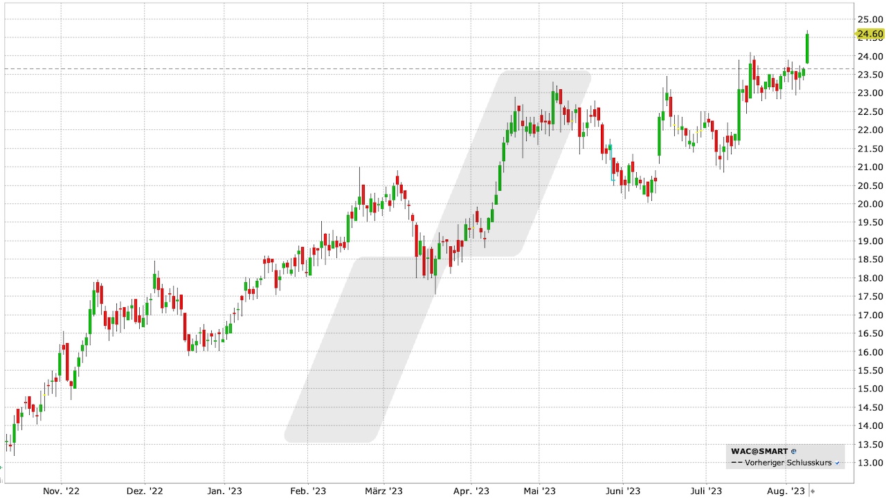 Wacker Neuson Aktie: Chart vom 08.08.2023, Kurs: 24,60 EUR, Kürzel: WAC | Quelle: TWS | Online Broker LYNX Wacker Neuson Aktie: Chart vom 08.08.2023, Kurs: 24,60 EUR, Kürzel: WAC | Quelle: TWS | Online Broker LYNX