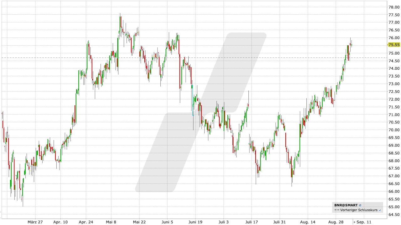 Brenntag Aktie: Chart vom 04.09.2023, Kurs: 75,55 EUR, Kürzel: BNR | Quelle: TWS | Online Broker LYNX