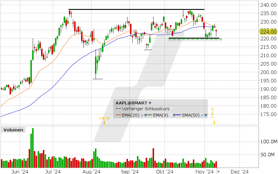 Apple Aktie: Chart vom 11.11.2024, Kurs: 224.00 USD, Kürzel: AAPL | Quelle: TWS | Online Broker LYNX