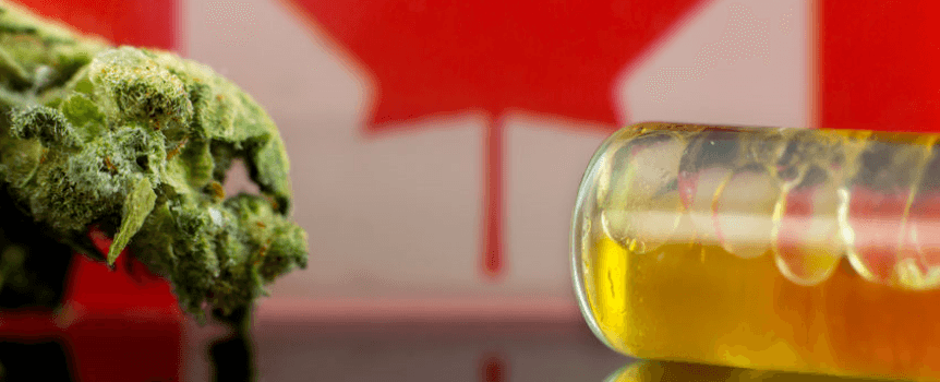 Die besten Cannabis Aktien: Kanada erlaubt Cannabis als Genussmittel | LYNX Online Broker