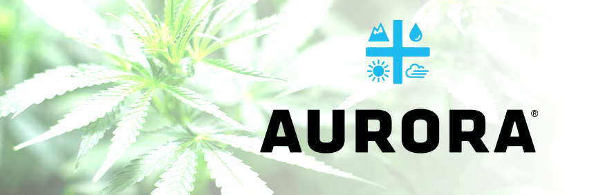 Die besten Cannabis Aktien 2021 Die besten Aktien